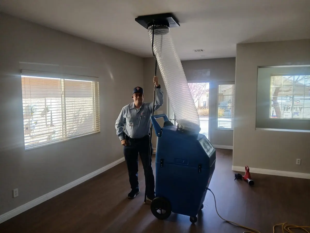 Professional Dryer Vent Cleaning work inside a Macon home